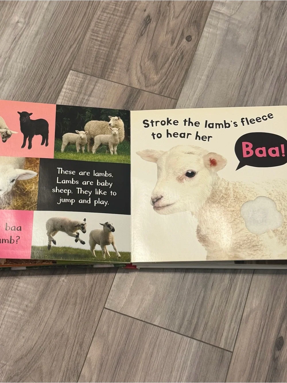 Farm Animal Themed Children’s Books Set of 4